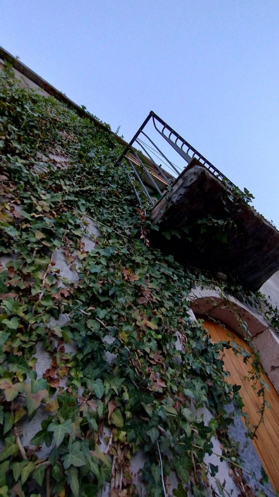Villa Diana Fiumefreddo di Sicilia Eksteriør bilde